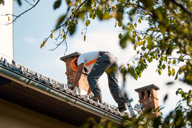 Best Roof Leak Repair  in Kent City, MI